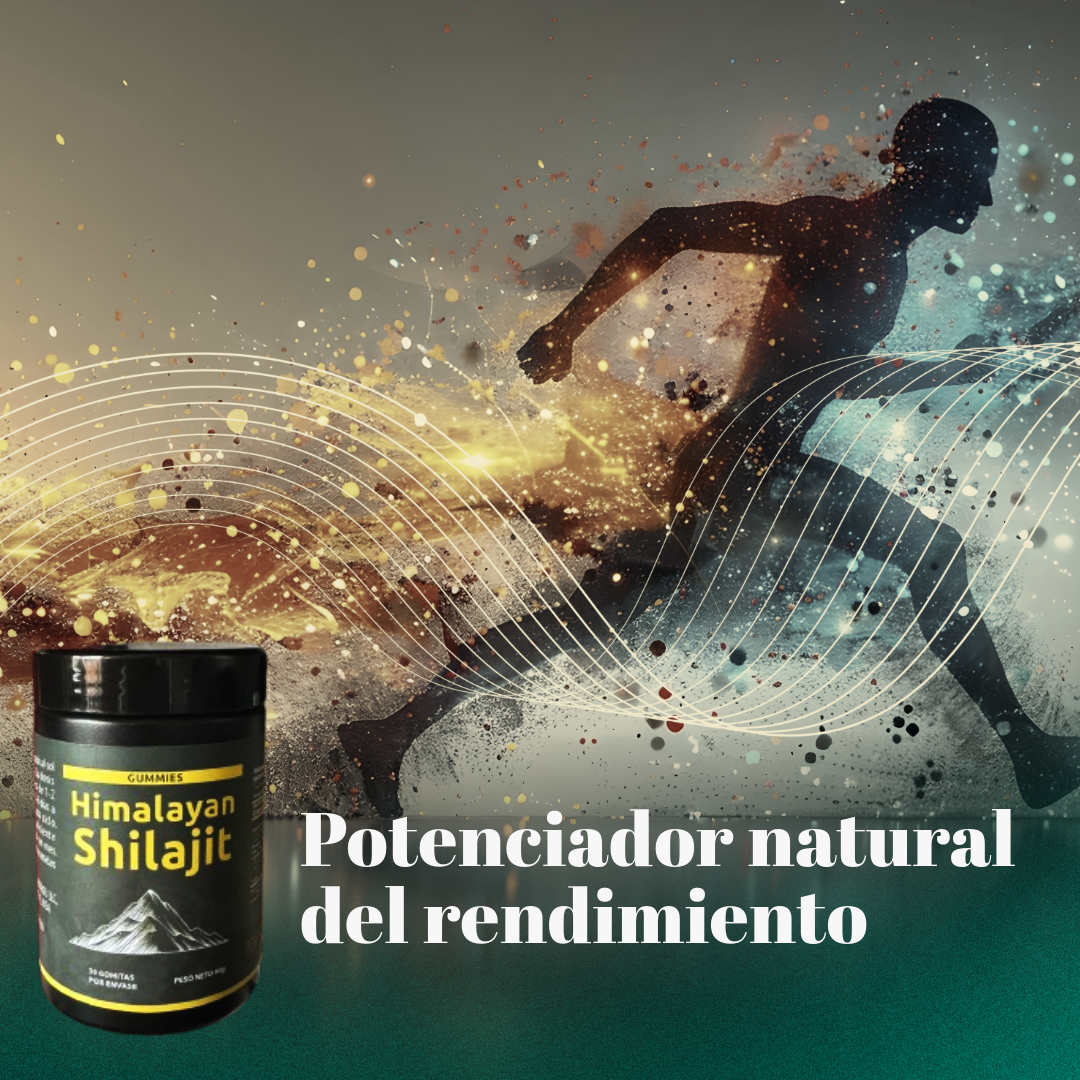 Himalayan Shilajit Suplement