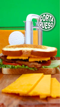 gid://shopify/MediaImage/24579376840798