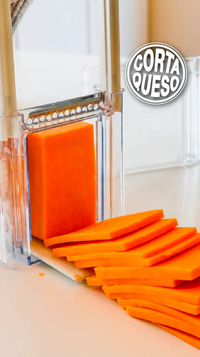 gid://shopify/MediaImage/24579376873566