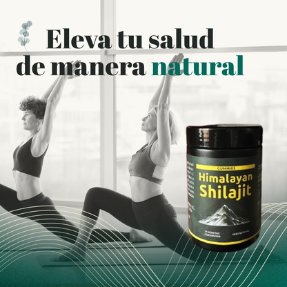 Himalayan Shilajit Suplement
